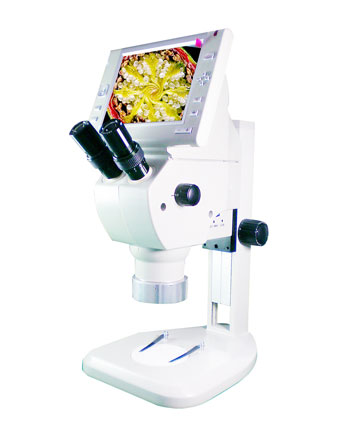体式显微镜 上海显微镜